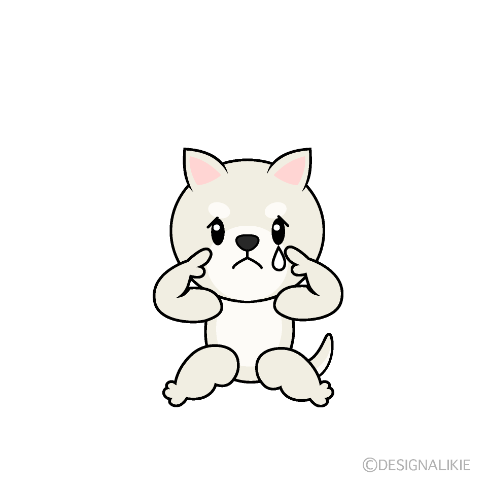 かわいい悲しい白犬イラスト