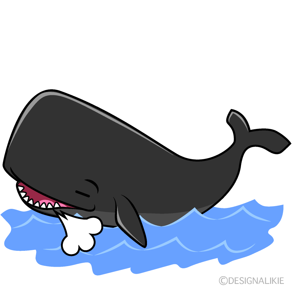 かわいいほっとするマッコウクジライラスト