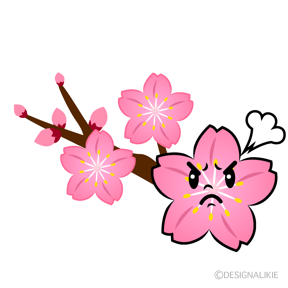 かわいい怒る桜の枝イラスト