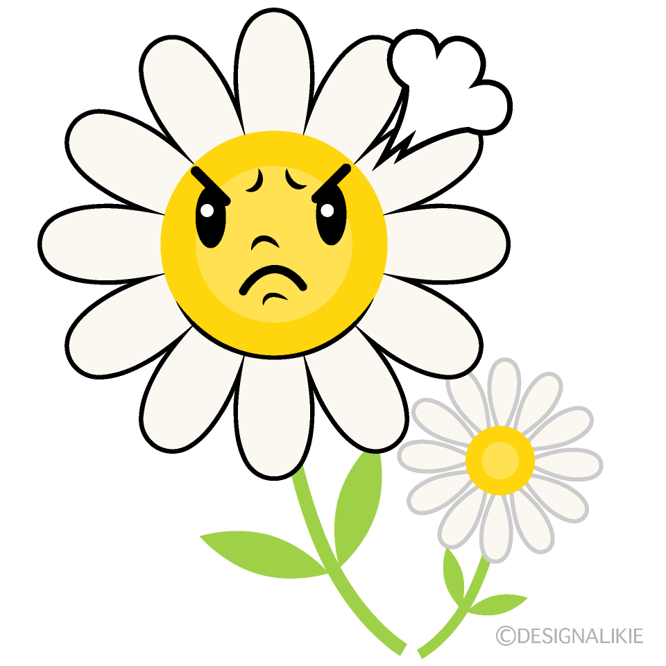 Cute Angry White Cosmos Clipart