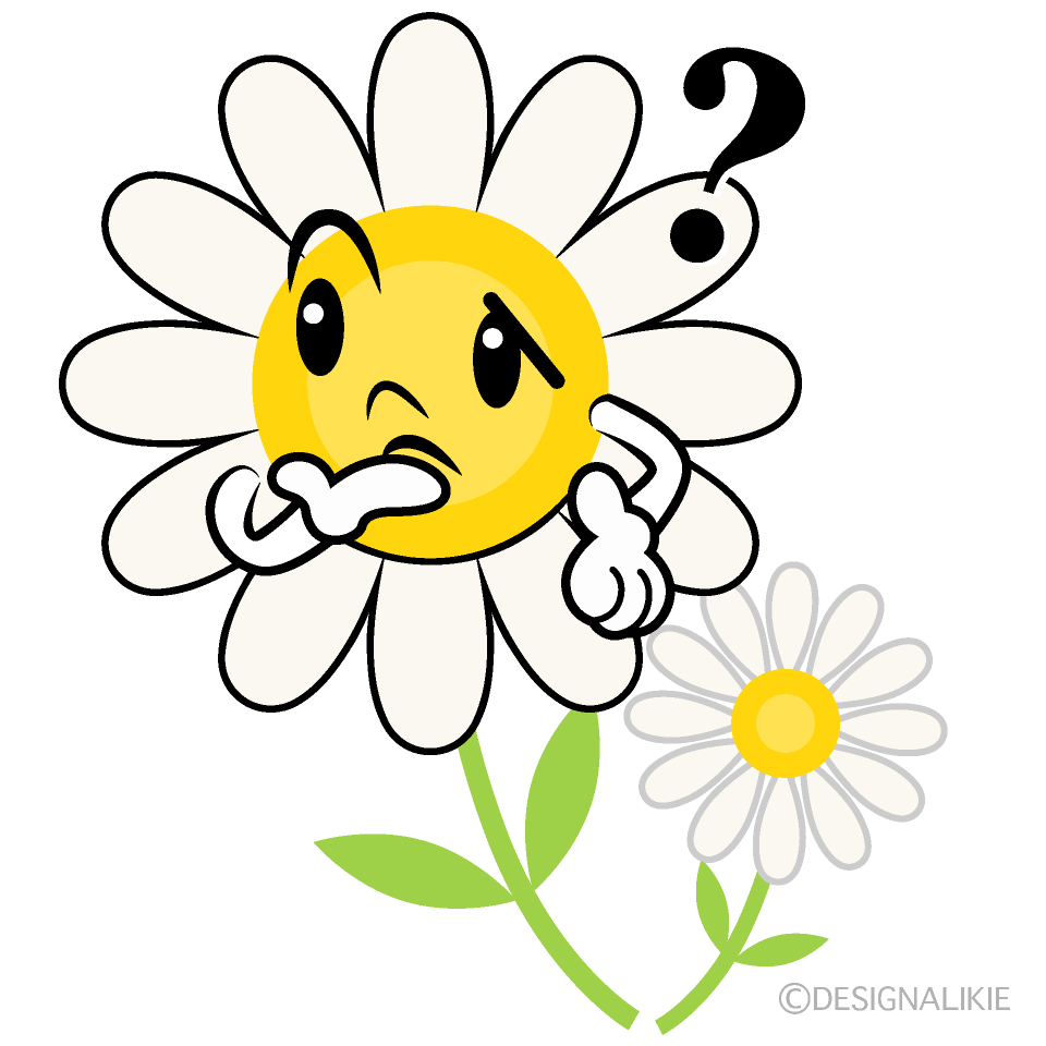 Cute Thinking White Cosmos Clipart