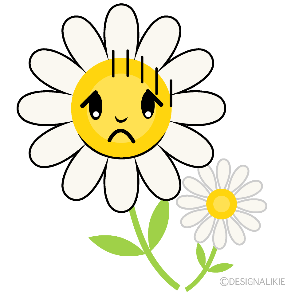 Cute Bowing White Cosmos Clipart