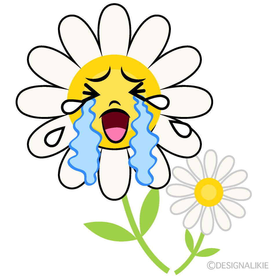 Cute Crying White Cosmos Clipart