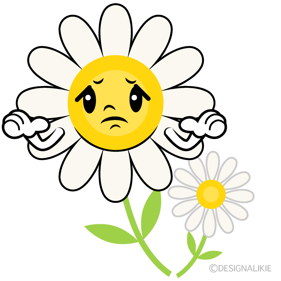 Cute Troubled White Cosmos Clipart