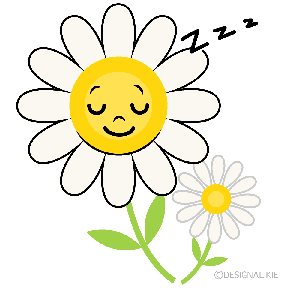 Cute Sleeping White Cosmos Clipart