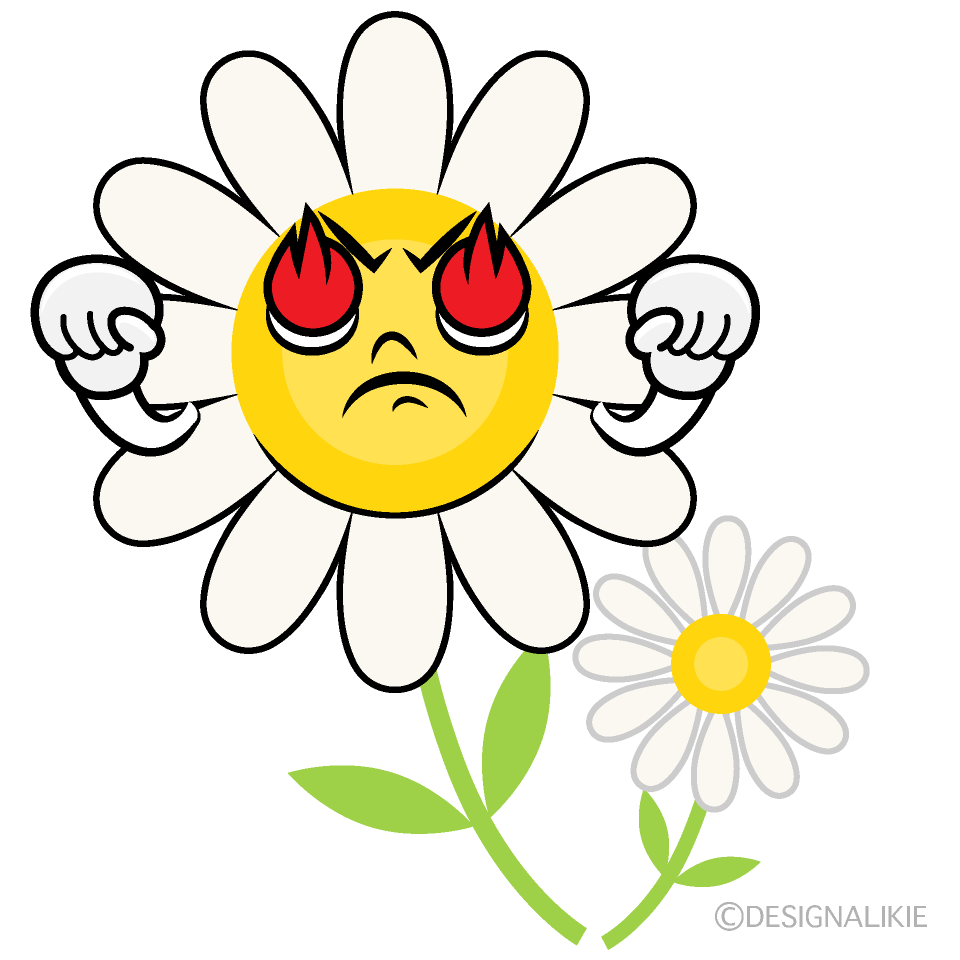 Cute Passionate White Cosmos Clipart