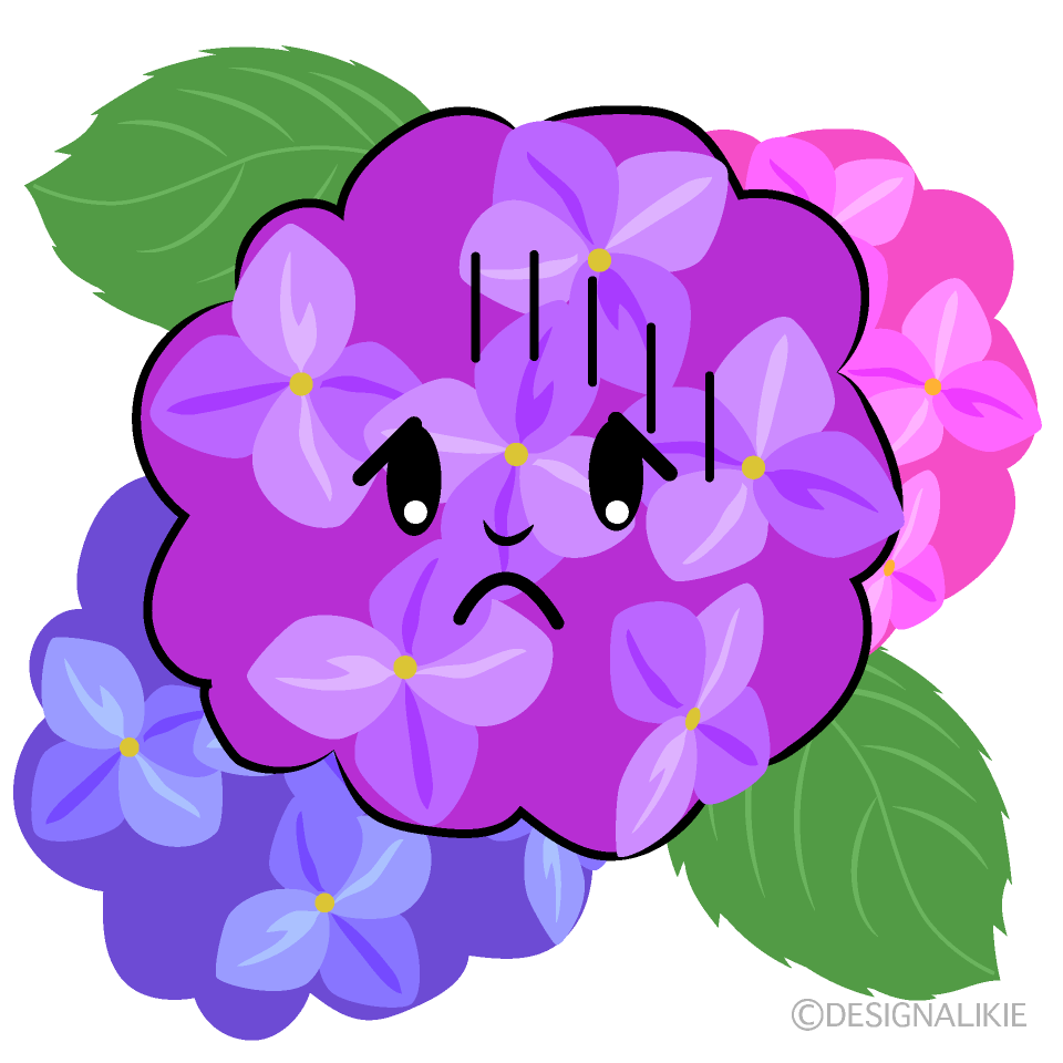 Cute Bowing Hydrangea Clipart