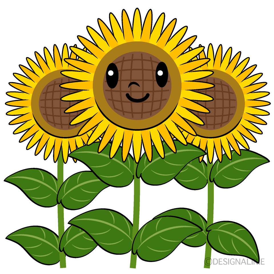 Cute Sunflower Field Clipart