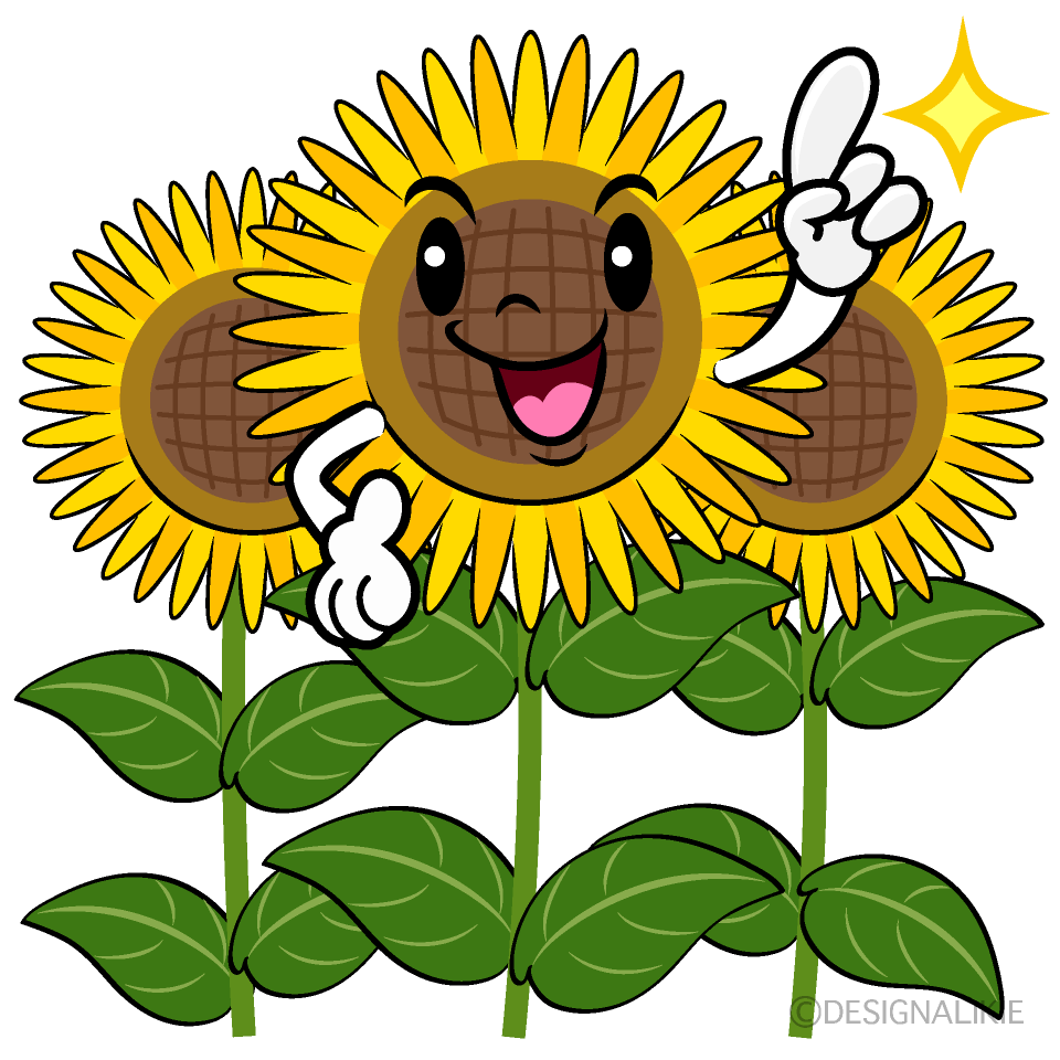 Cute Pointing Sunflower Field Clipart