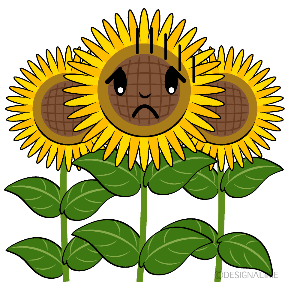 Cute Bowing Sunflower Field Clipart