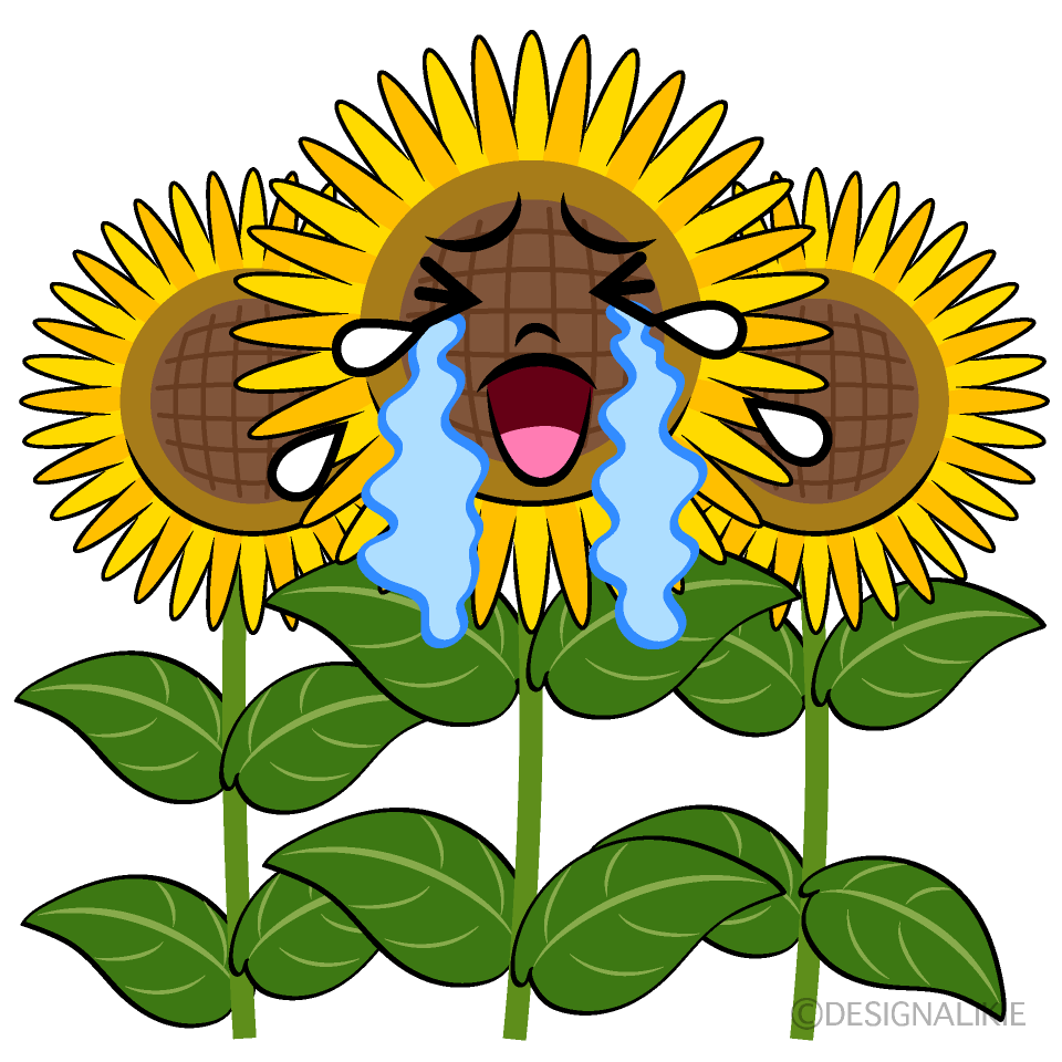 Cute Crying Sunflower Field Clipart