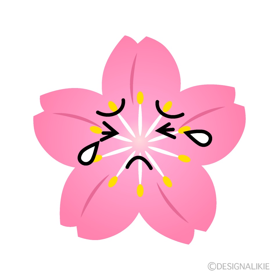 かわいい泣く桜イラスト