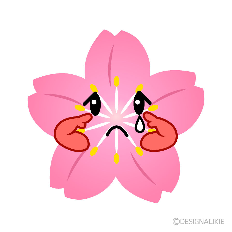 かわいい悲しい桜のイラスト素材 Illustcute