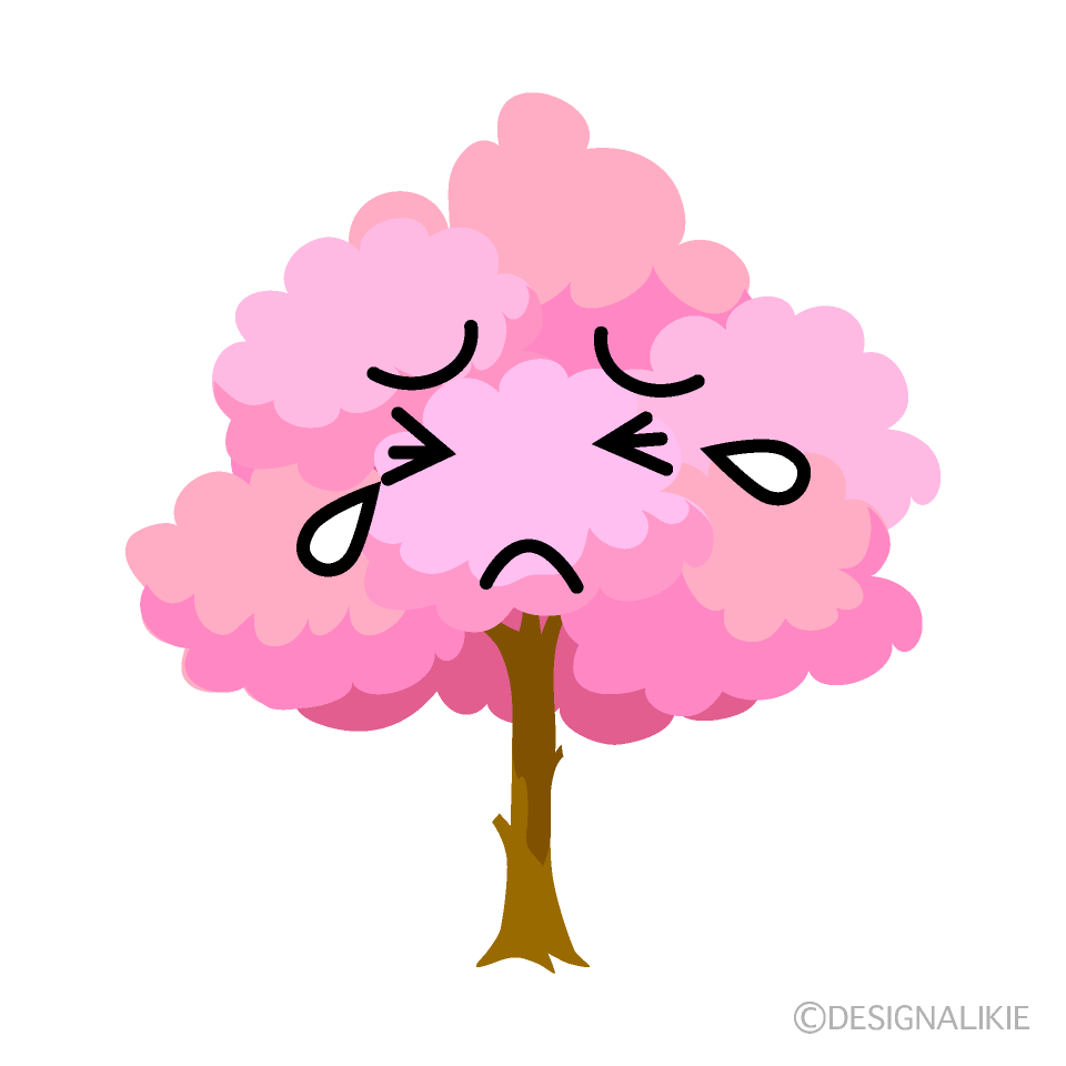 かわいい泣く桜の木イラスト