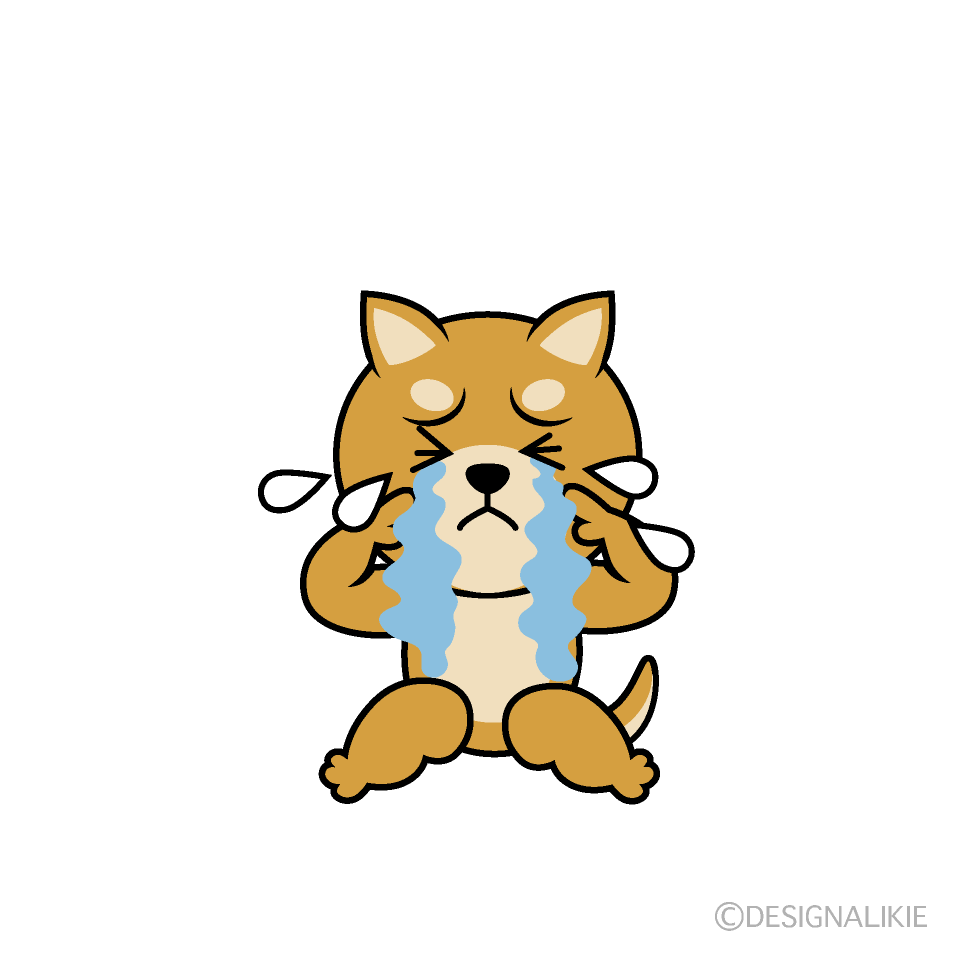 かわいい泣く柴犬のイラスト素材 Illustcute