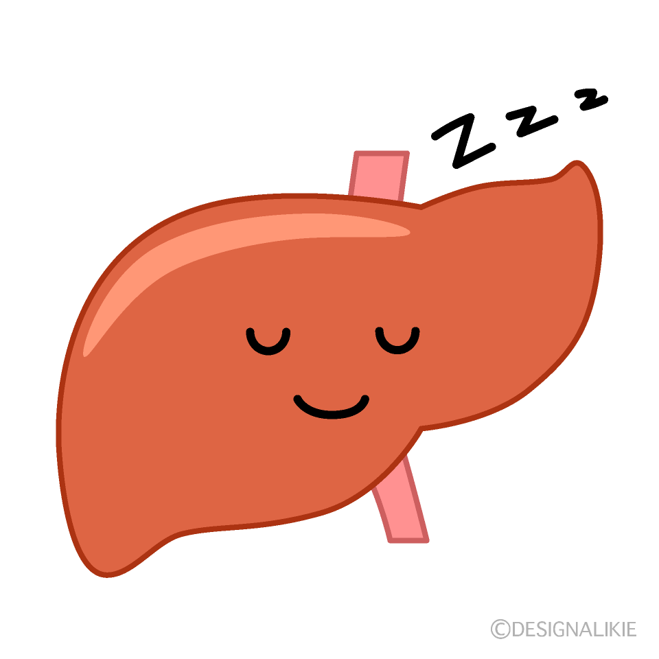 かわいい寝る肝臓イラスト