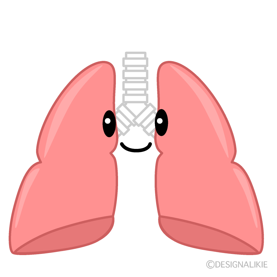 かわいい肺イラスト