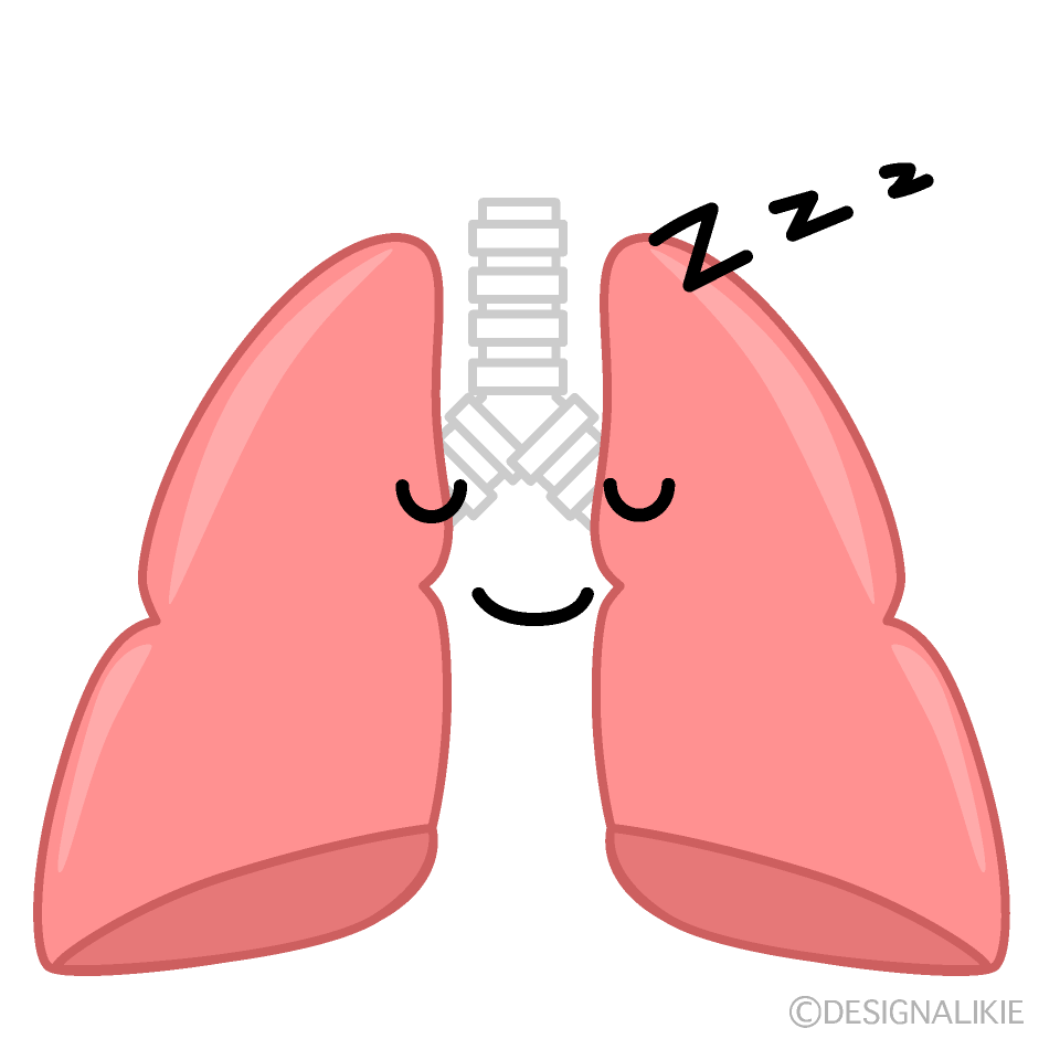 かわいい寝る肺イラスト