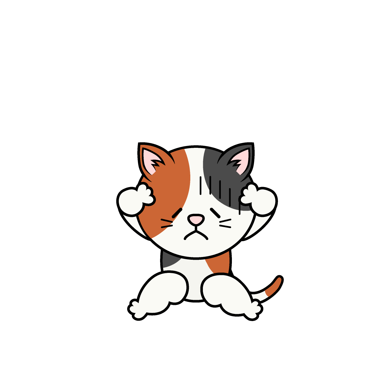 Bowing Calico Cat