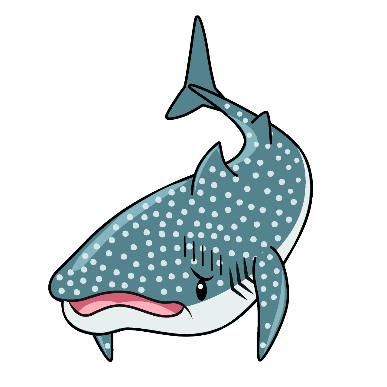 Bowing Whale Shark