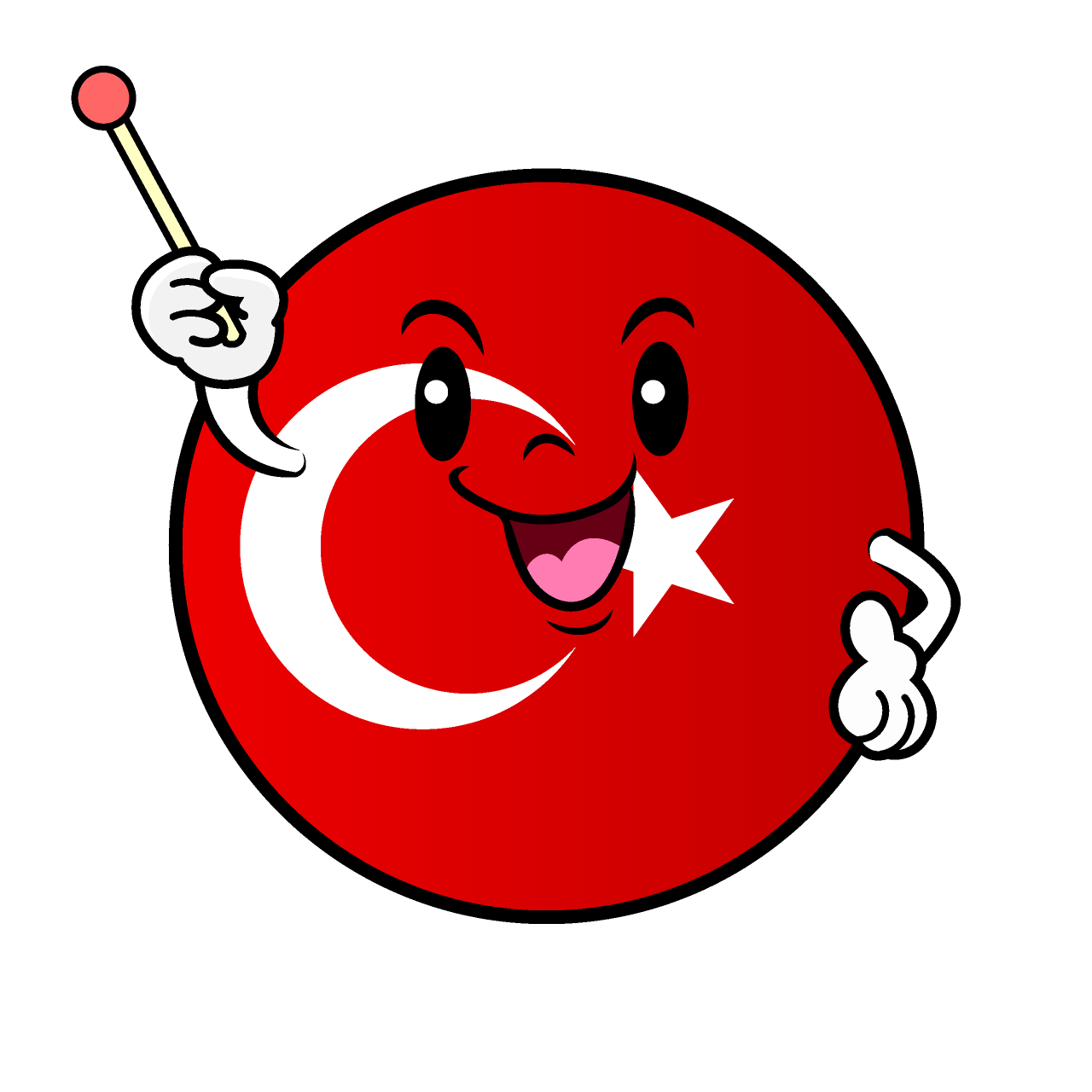 説明するトルコ国旗（丸型）