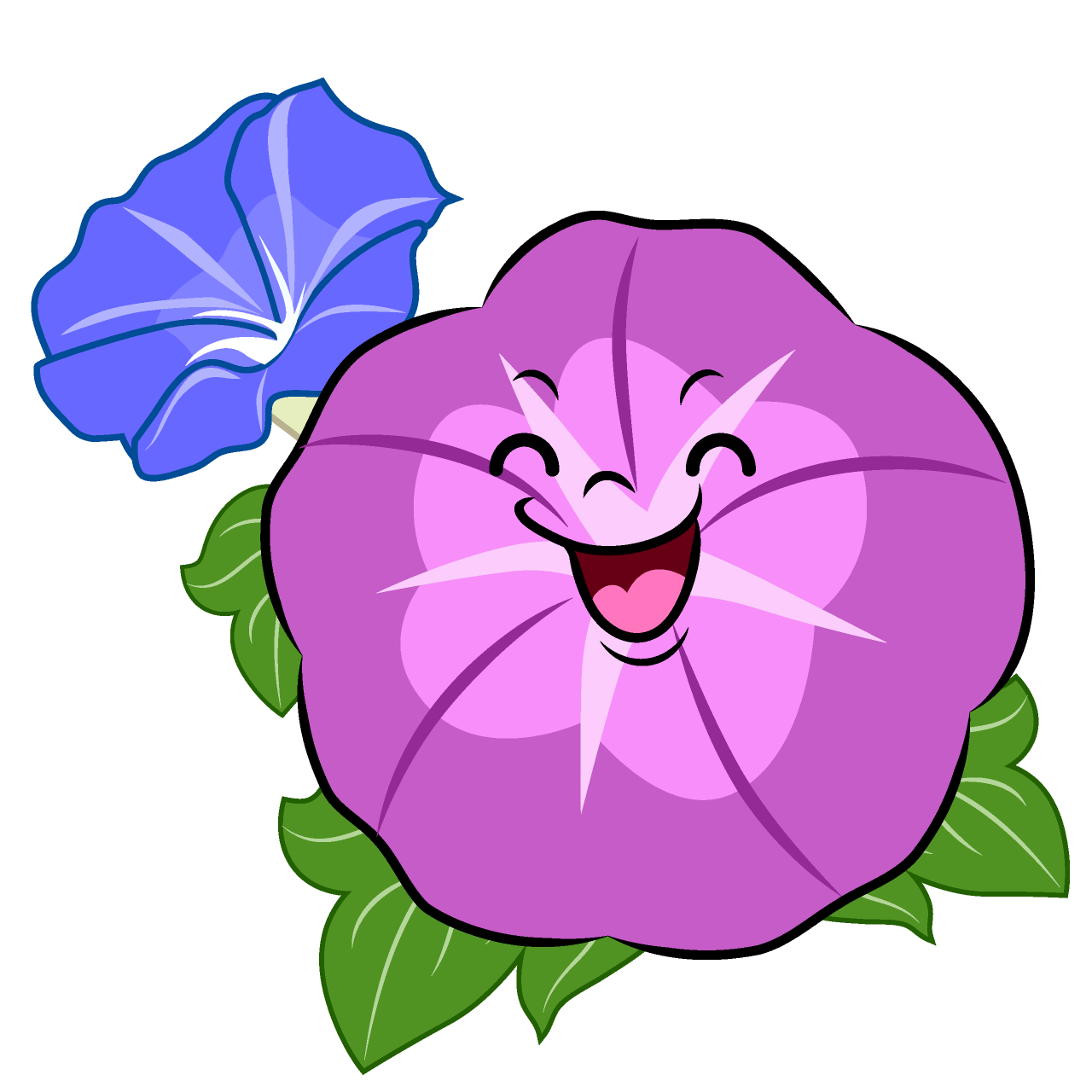 Smiling Purple Morning Glory