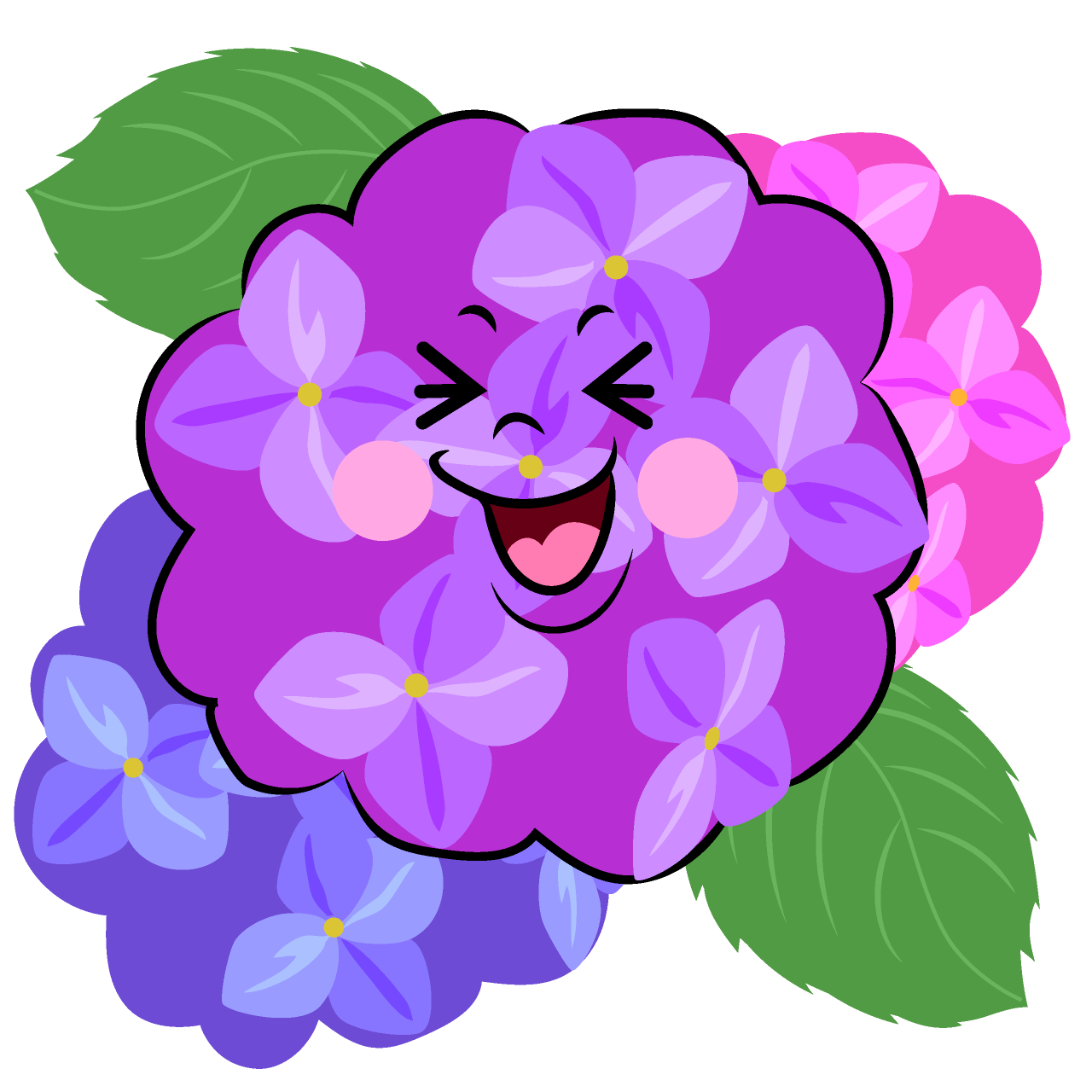 笑う紫陽花