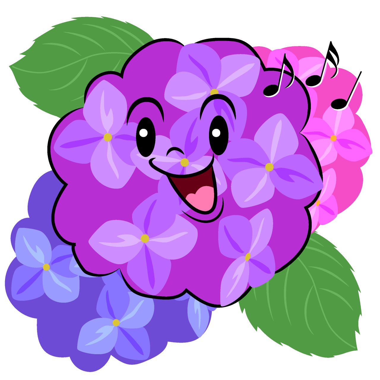歌う紫陽花