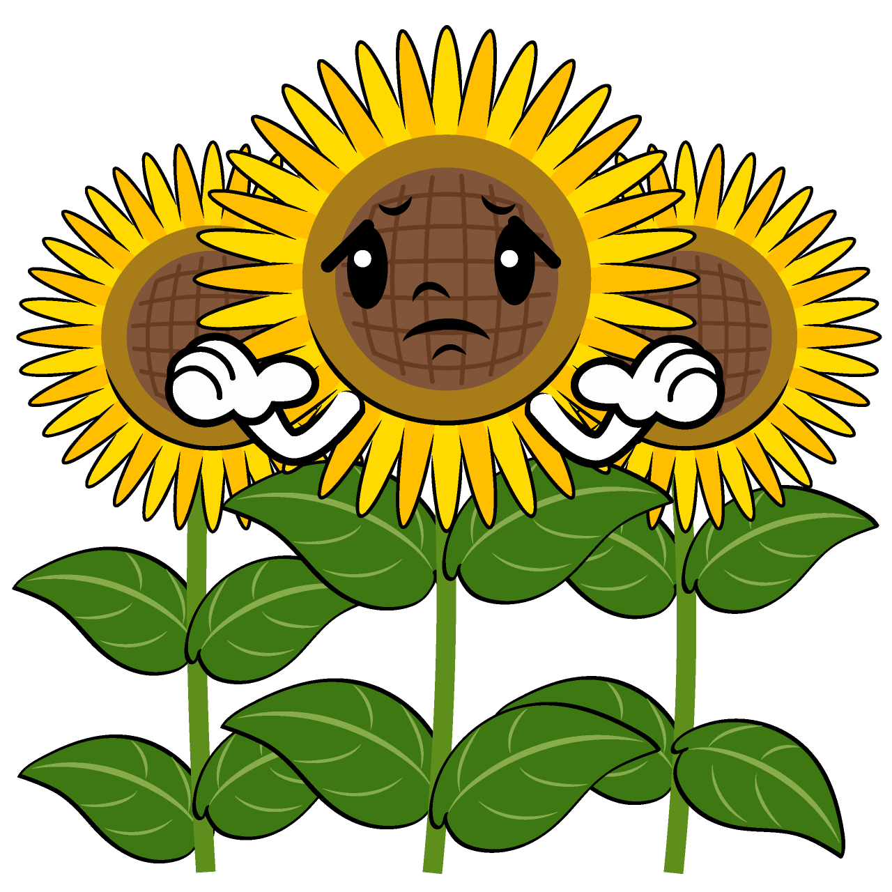Troubled Sunflower Field