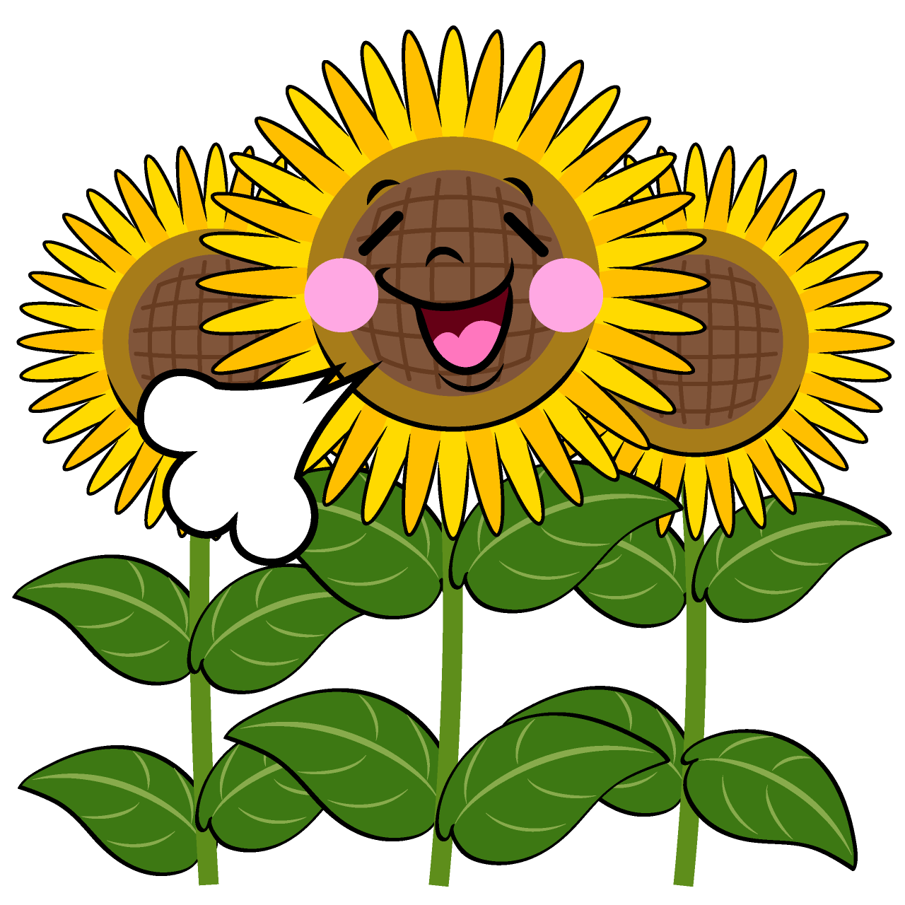 Relieved Sunflower Field