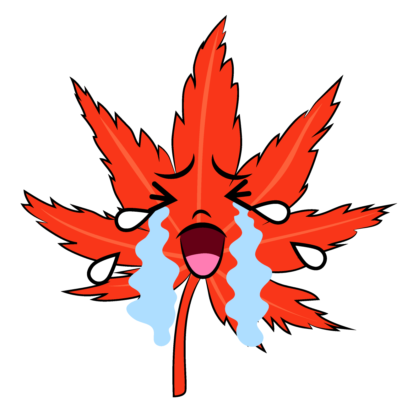 Crying Maple Leaf