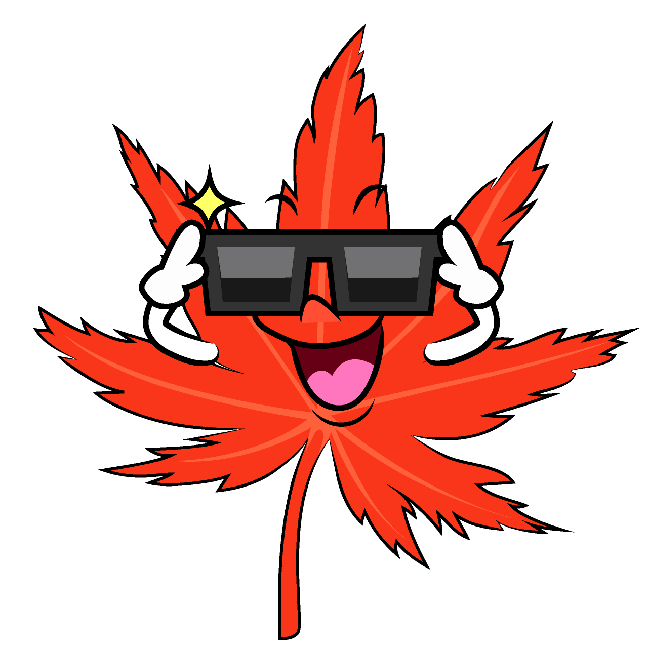 Sunglasses Maple Leaf