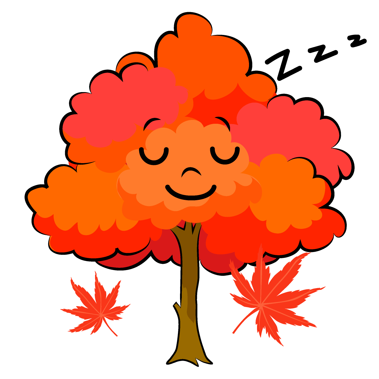 寝るモミジ木