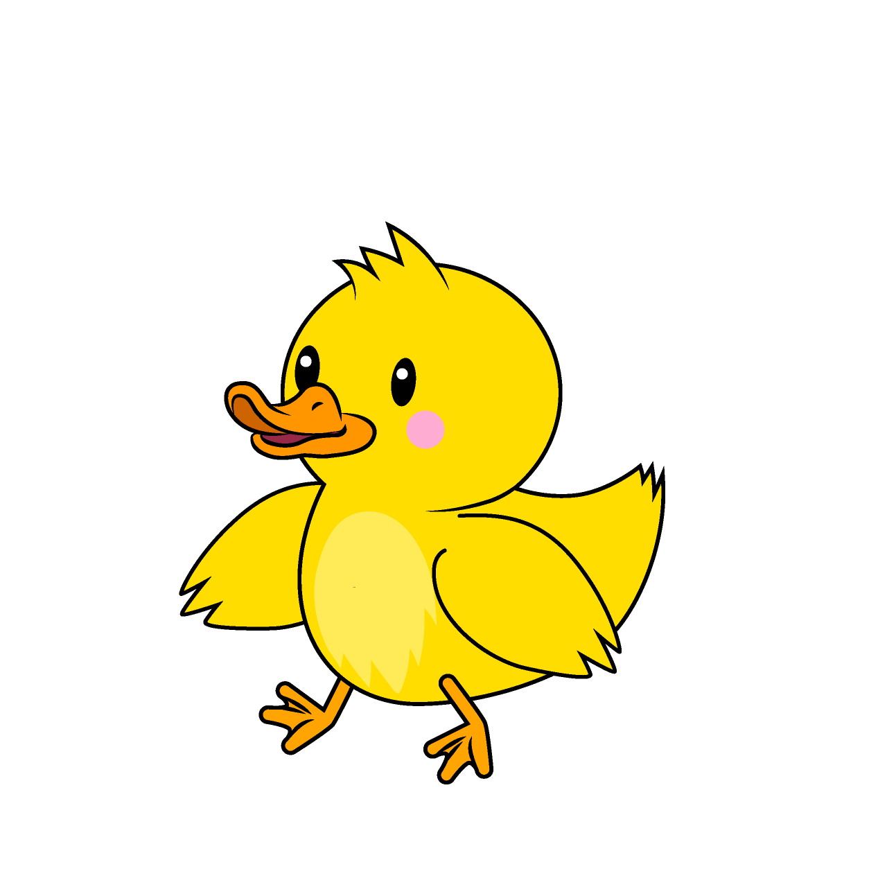 Duck