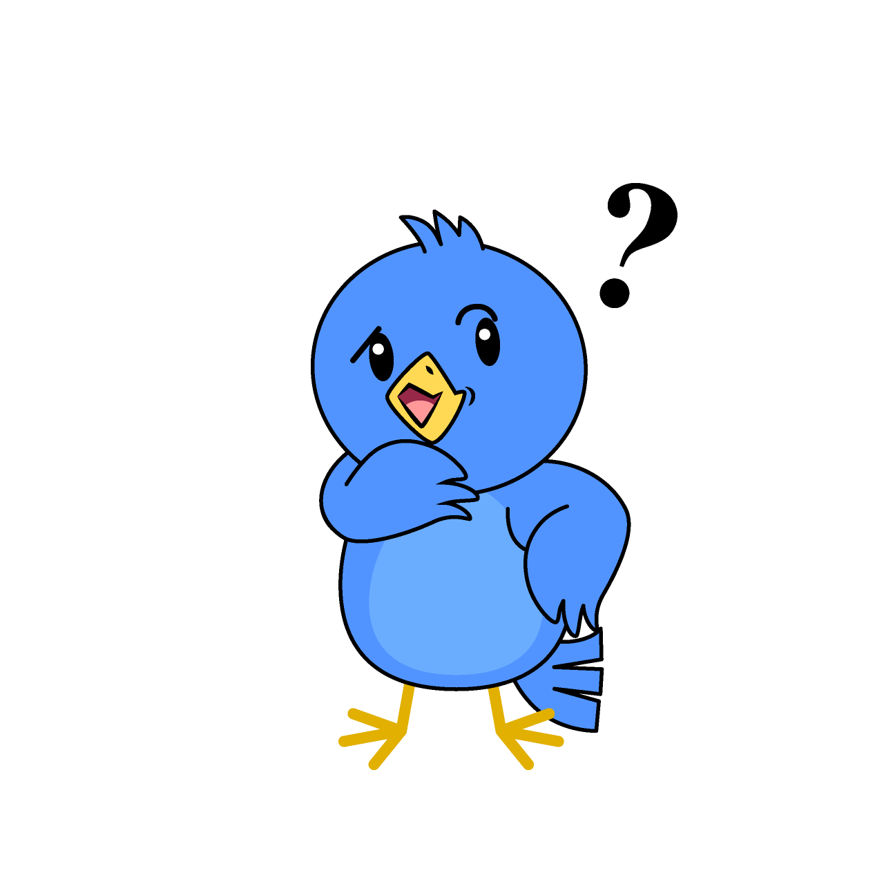 Thinking Blue Bird