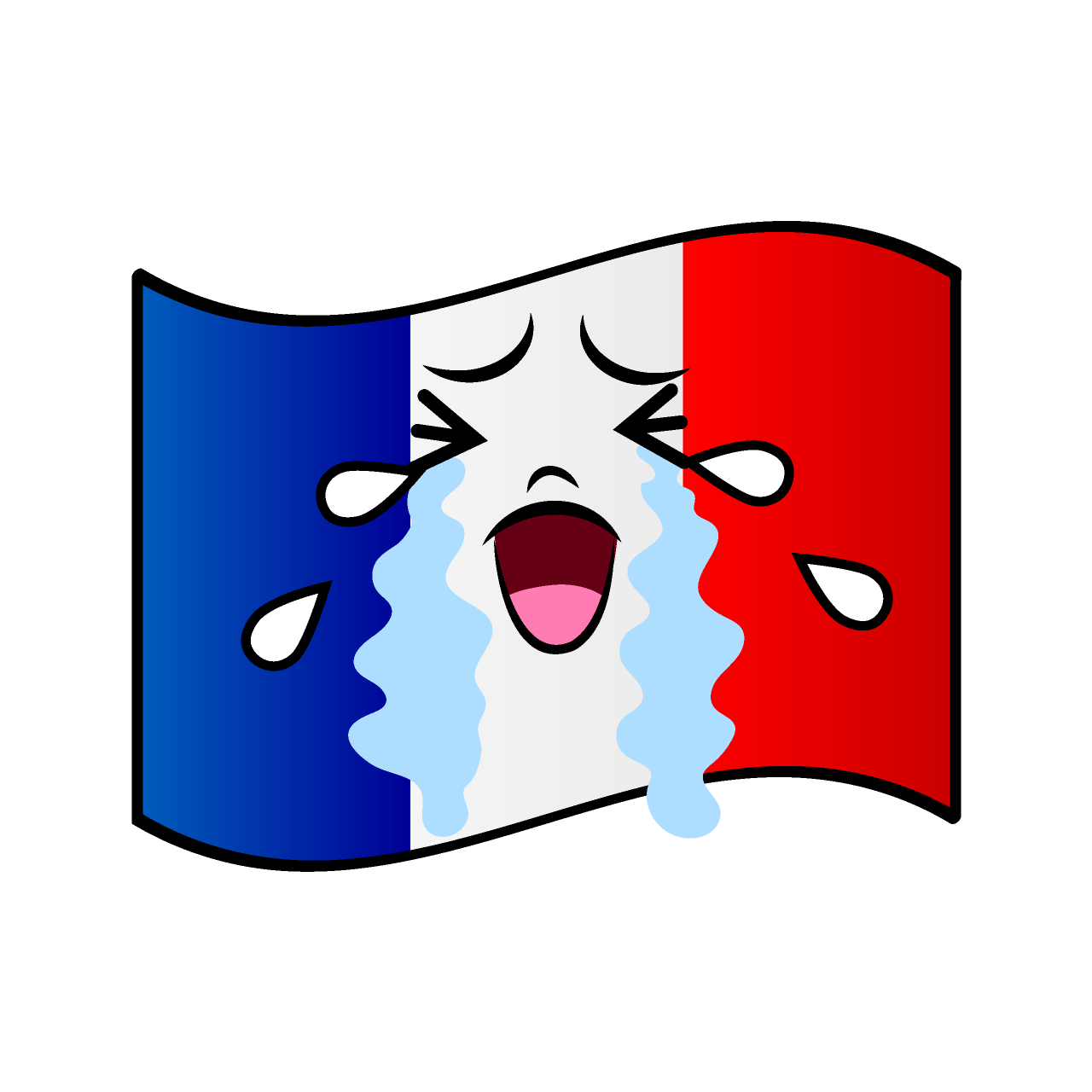 泣くフランス国旗