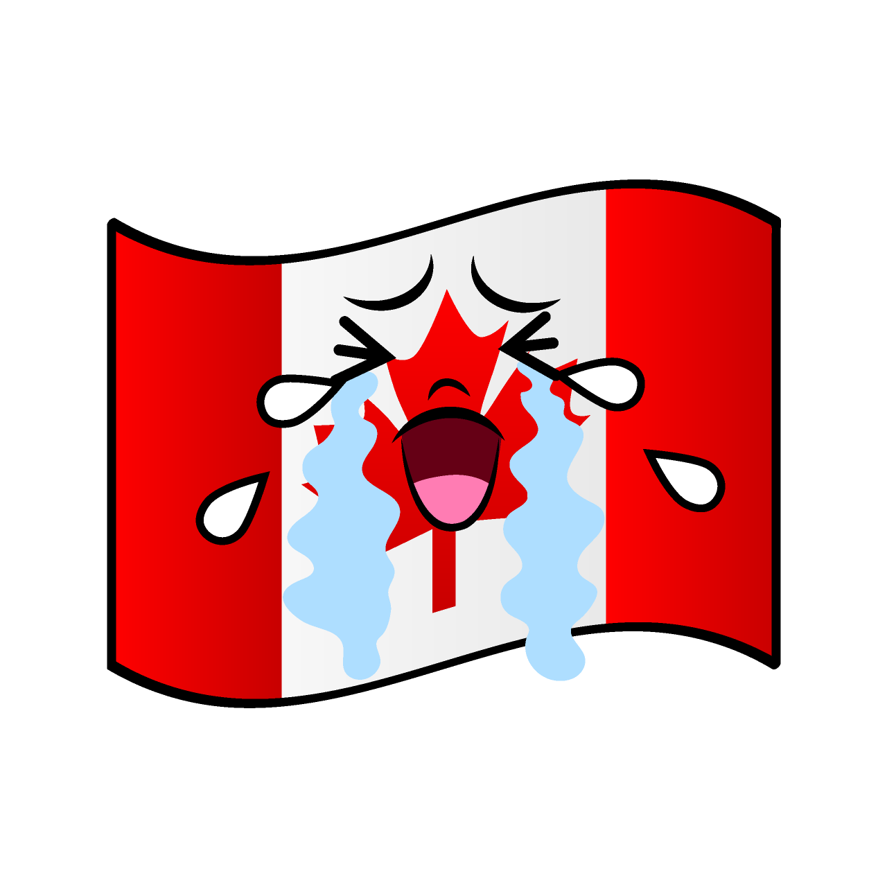 泣くカナダ国旗