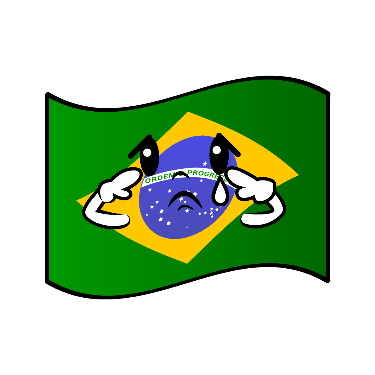 Sad Brazilian Flag