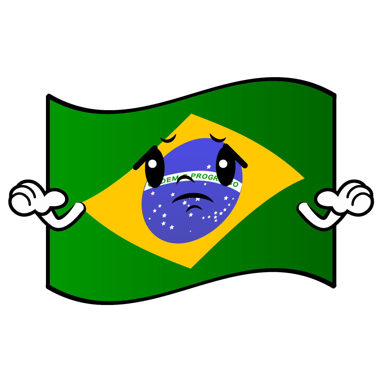 Troubled Brazilian Flag