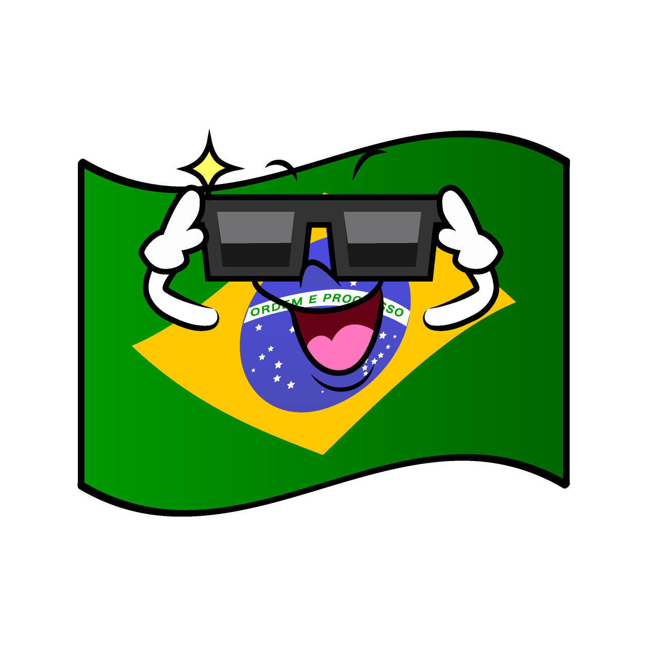 Cool Brazilian Flag