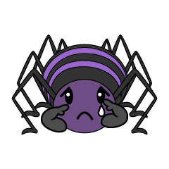 悲しい蜘蛛