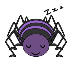 寝る蜘蛛