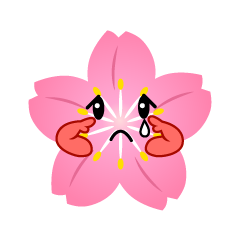 悲しい桜