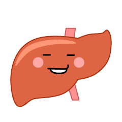 ニヤリの肝臓