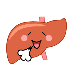 リラックスする肝臓