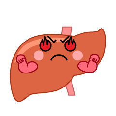 熱意の肝臓