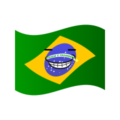 ニヤリのブラジル国旗